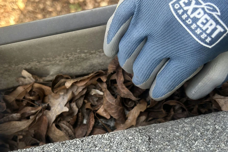 Gutter Cleaning Indian Rocks Beach FL