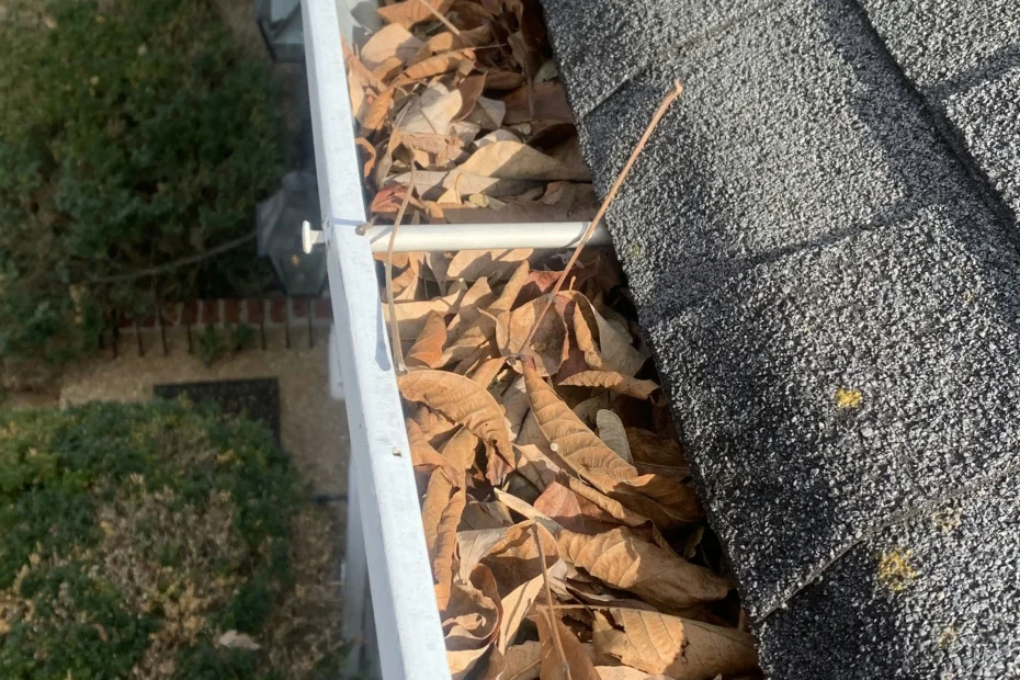 Gutter Cleaning Indian Rocks Beach FL